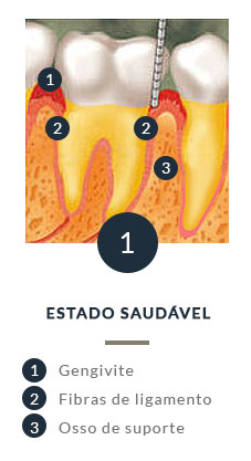 Periodontia